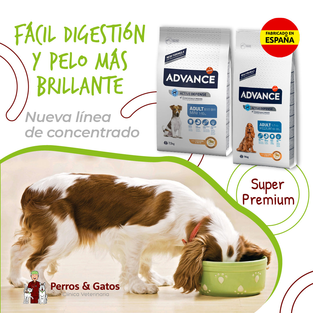 Alimento para Perros