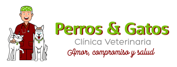 perrosygatos.store